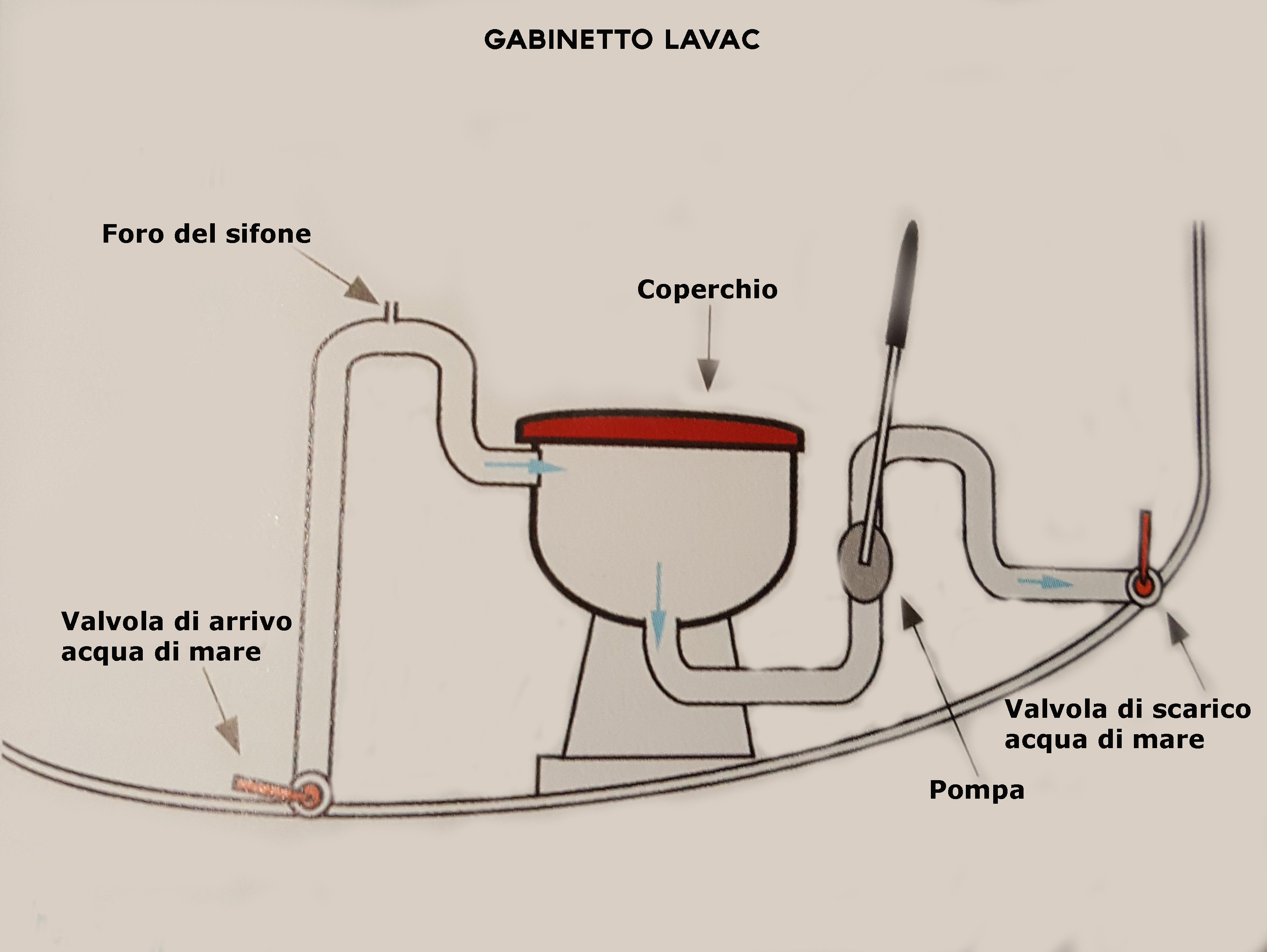 Lavac