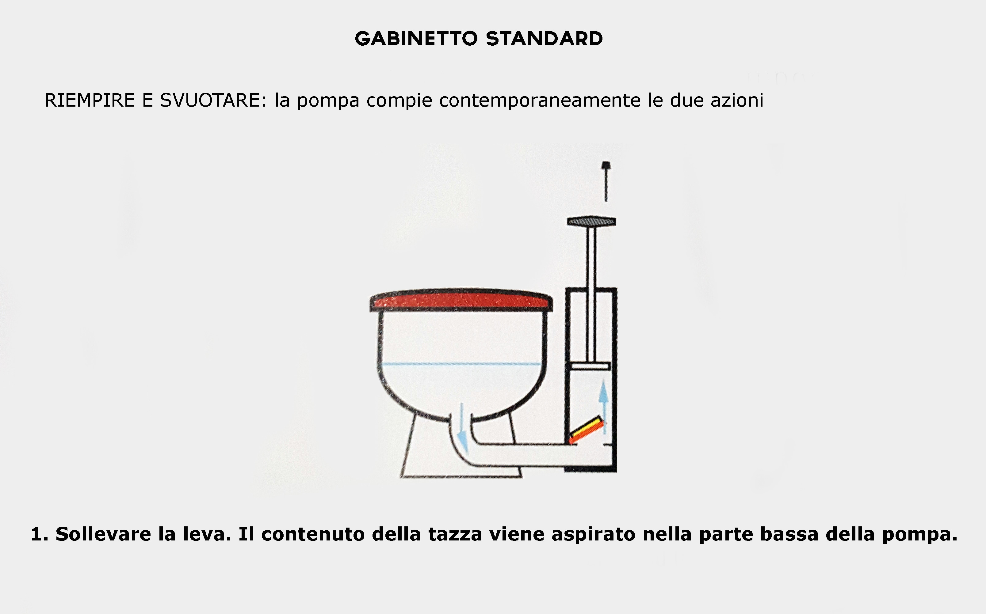 standard 1